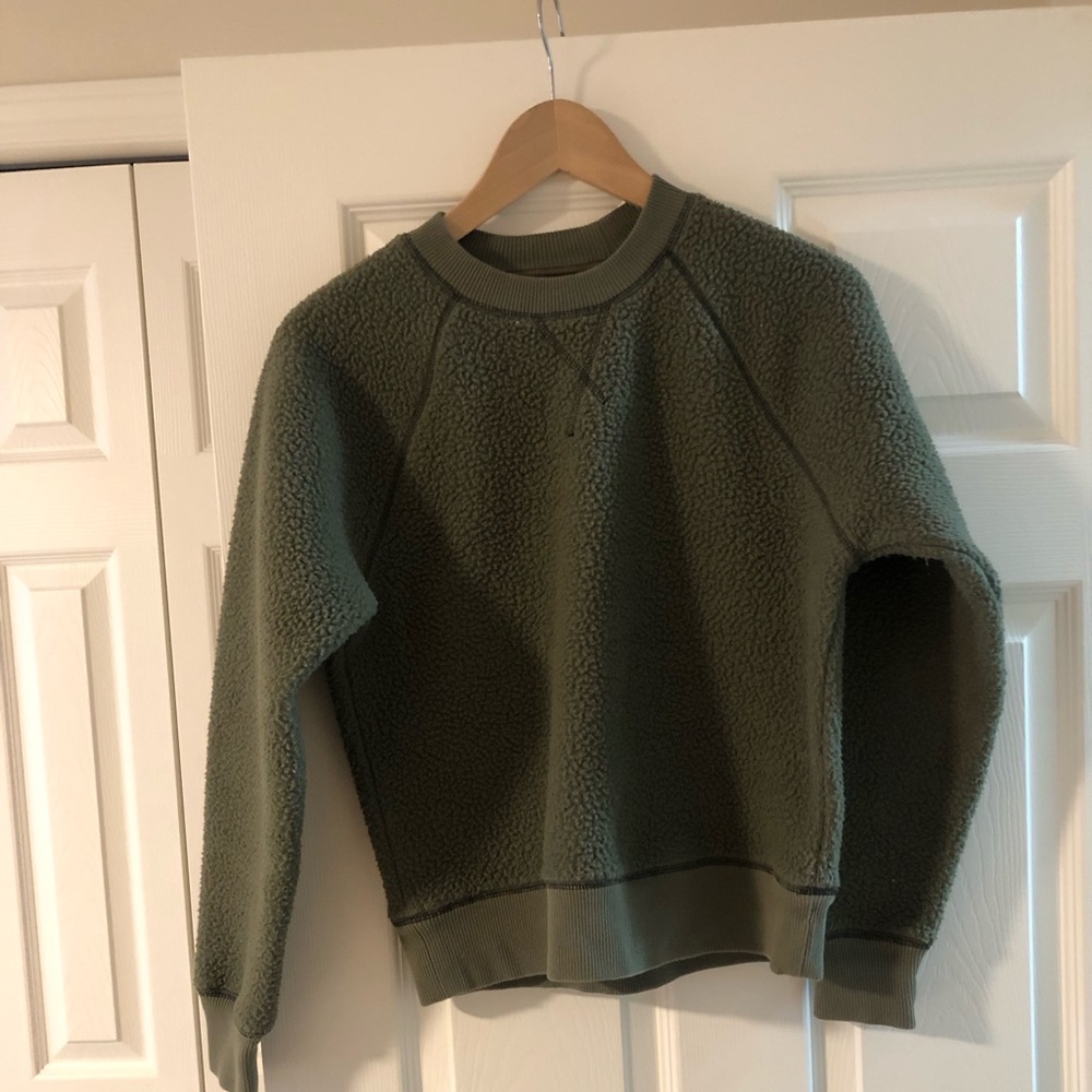 Everlane Olive Green Crew Neck Sweater